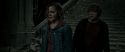 RdM2-Potterish_09807.jpg