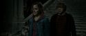 RdM2-Potterish_09810.jpg