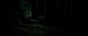 RdM2-Potterish_09870.jpg