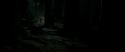 RdM2-Potterish_09871.jpg