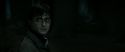RdM2-Potterish_09875.jpg