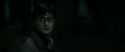 RdM2-Potterish_09877.jpg
