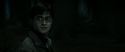 RdM2-Potterish_09879.jpg