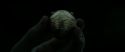 RdM2-Potterish_09895.jpg