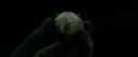 RdM2-Potterish_09897.jpg