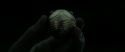 RdM2-Potterish_09898.jpg