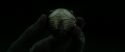 RdM2-Potterish_09899.jpg