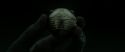 RdM2-Potterish_09900.jpg