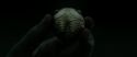 RdM2-Potterish_09901.jpg