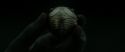 RdM2-Potterish_09902.jpg