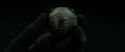 RdM2-Potterish_09903.jpg