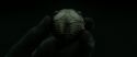 RdM2-Potterish_09904.jpg
