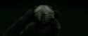 RdM2-Potterish_09905.jpg
