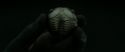 RdM2-Potterish_09906.jpg