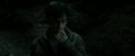 RdM2-Potterish_09933.jpg