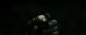 RdM2-Potterish_09939.jpg