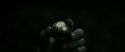 RdM2-Potterish_09940.jpg
