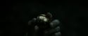 RdM2-Potterish_09941.jpg