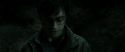 RdM2-Potterish_09954.jpg