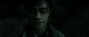 RdM2-Potterish_10012.jpg