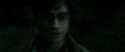 RdM2-Potterish_10022.jpg