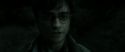 RdM2-Potterish_10024.jpg
