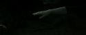 RdM2-Potterish_10035.jpg