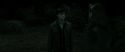 RdM2-Potterish_10065.jpg