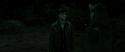 RdM2-Potterish_10066.jpg