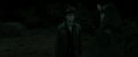 RdM2-Potterish_10067.jpg