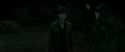 RdM2-Potterish_10071.jpg