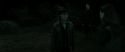 RdM2-Potterish_10074.jpg