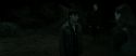 RdM2-Potterish_10078.jpg