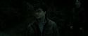 RdM2-Potterish_10100.jpg