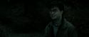 RdM2-Potterish_10108.jpg