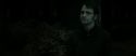 RdM2-Potterish_10131.jpg