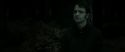 RdM2-Potterish_10133.jpg