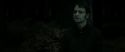 RdM2-Potterish_10135.jpg