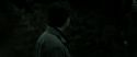RdM2-Potterish_10137.jpg