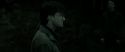 RdM2-Potterish_10142.jpg