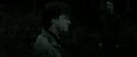 RdM2-Potterish_10146.jpg