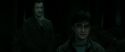 RdM2-Potterish_10182.jpg