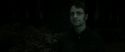 RdM2-Potterish_10196.jpg