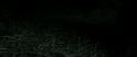 RdM2-Potterish_10264.jpg
