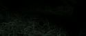 RdM2-Potterish_10265.jpg