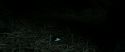 RdM2-Potterish_10267.jpg