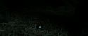 RdM2-Potterish_10268.jpg