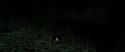 RdM2-Potterish_10269.jpg