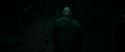 RdM2-Potterish_10352.jpg
