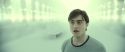 RdM2-Potterish_10555.jpg